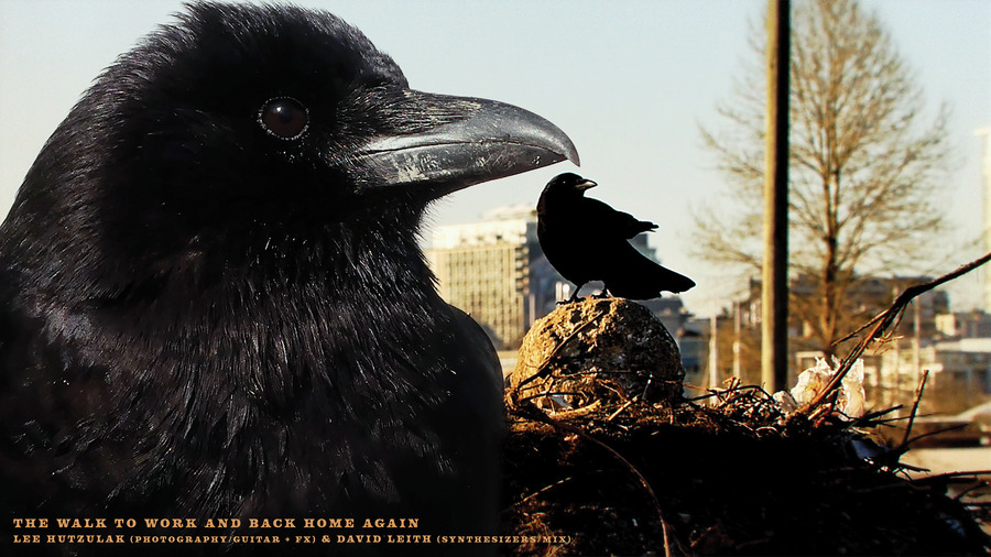THE WALK TO WORK AND BACK HOME AGAIN banner