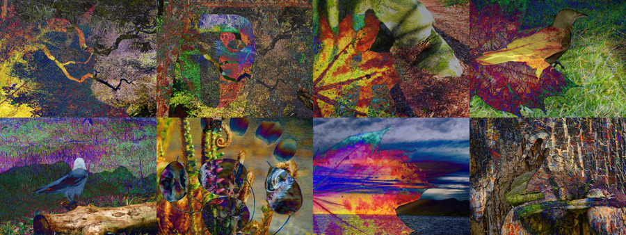 Laura Lee Coles's  banner